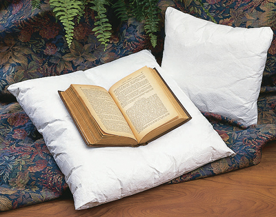 Rare Book Display Pillow