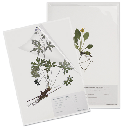 Herbarium Specimen Sheet Protectors