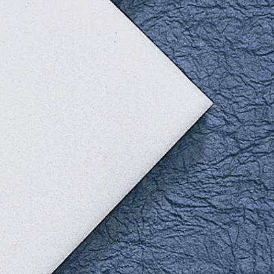 Tyvek 1422A Rolls