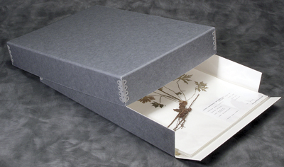 Herbarium Boxes