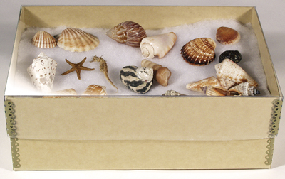 Clear-View Boxes