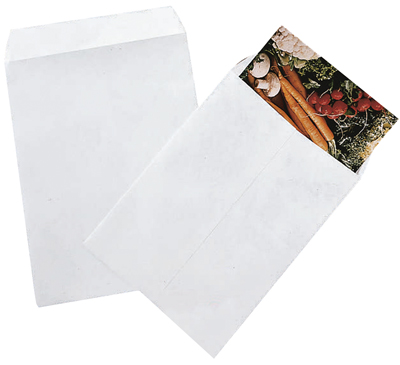 Tyvek Envelopes